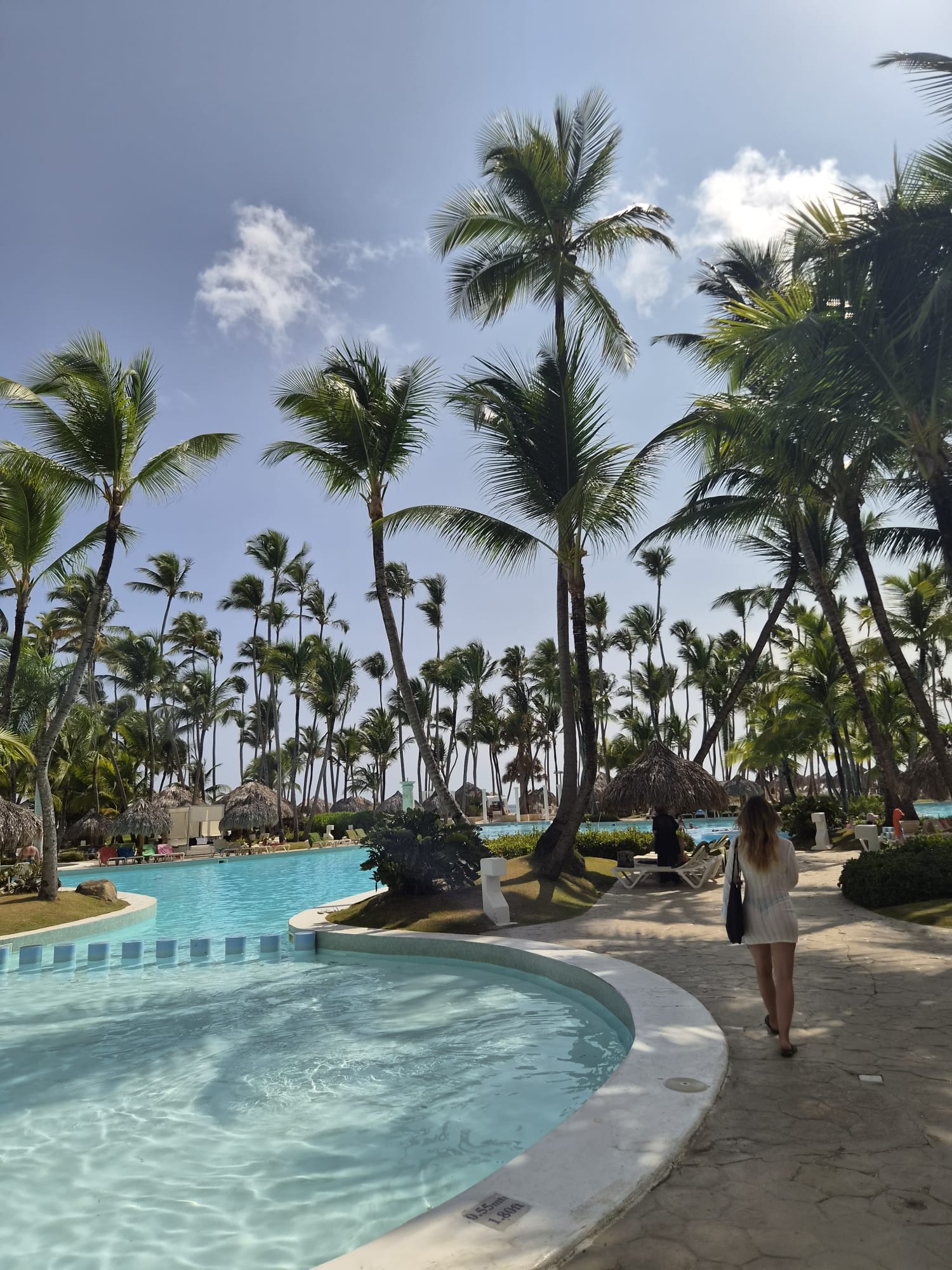 La piscine du Meliá sous les palmiers