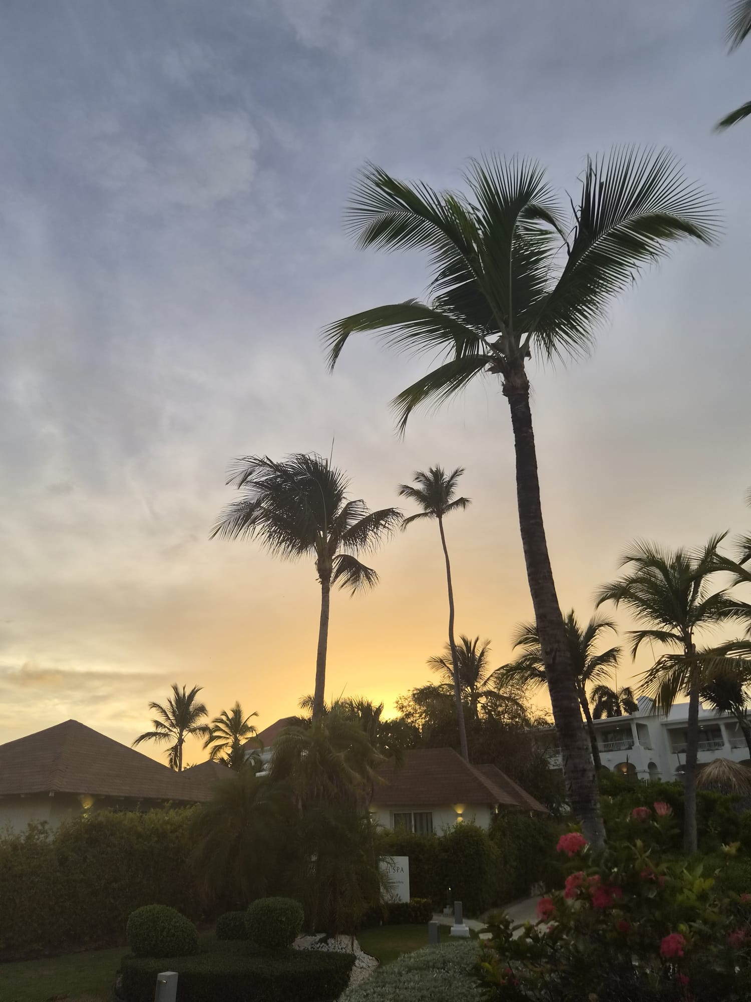 Coucher de soleil sur les jardins