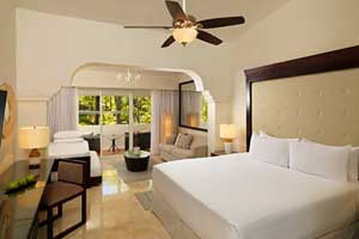 Family Room Tropical Palms
